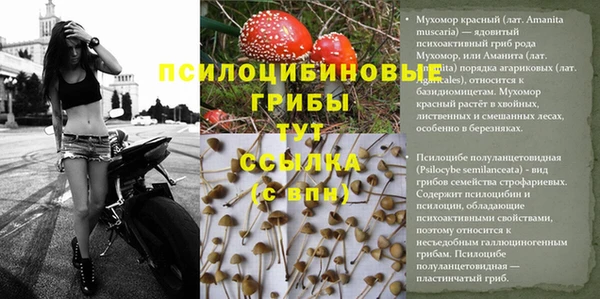 Альфа ПВП Алексин