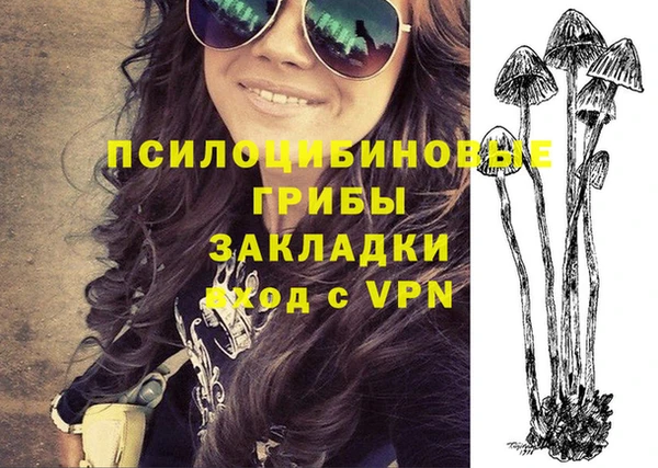 Альфа ПВП Алексин