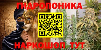 spice Кулебаки